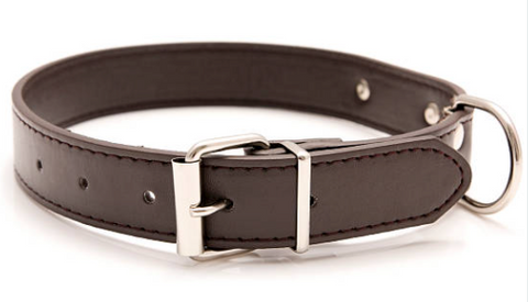 Hershey Collar